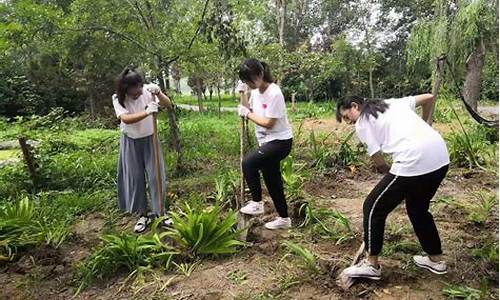 学生社会实践活动个人总结